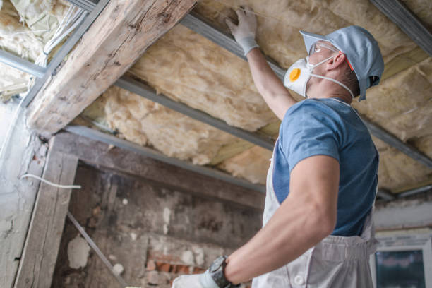  Tower Lakes, IL Insulation Contractor Pros