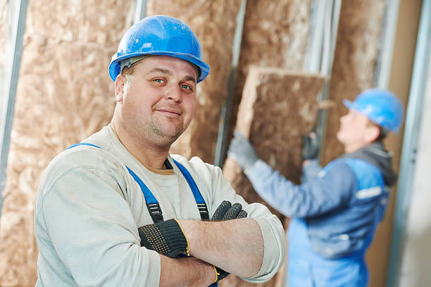 Best Eco-Friendly Insulation in Tower Lakes, IL